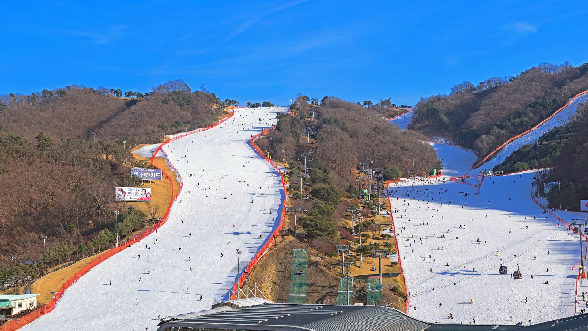 国际雪联与世界气象组织合作强调气候变化对冬季运动和旅游业的有害影响